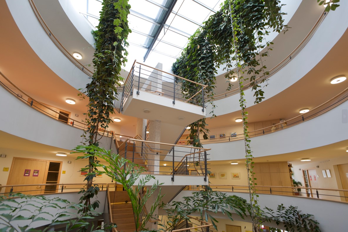 Bild zum Thema: Freigestellte*r Praxisanleiter*in (m/w/d)